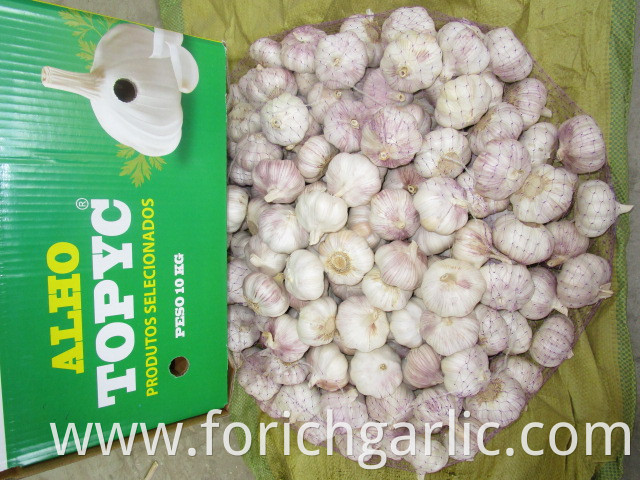 Normal White Garlic